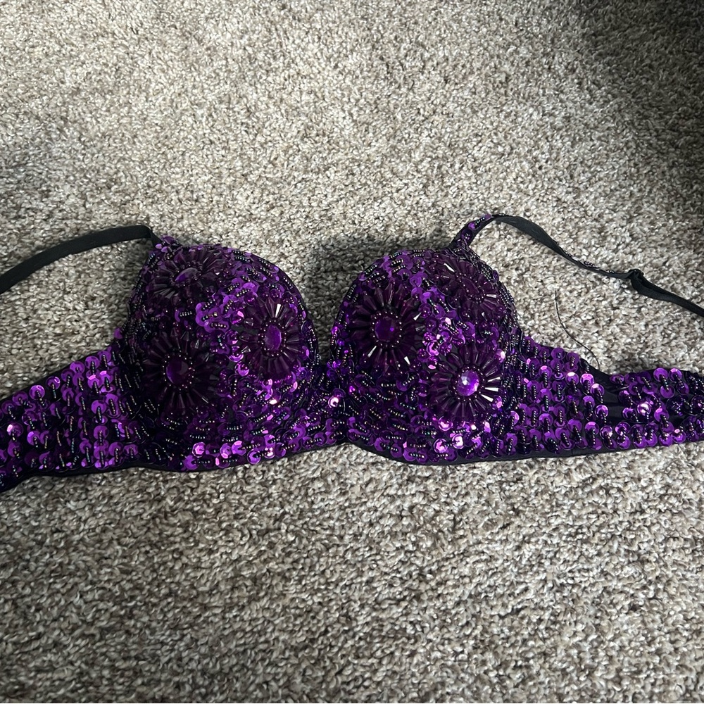Festival Purple Sequin Embellished Bra